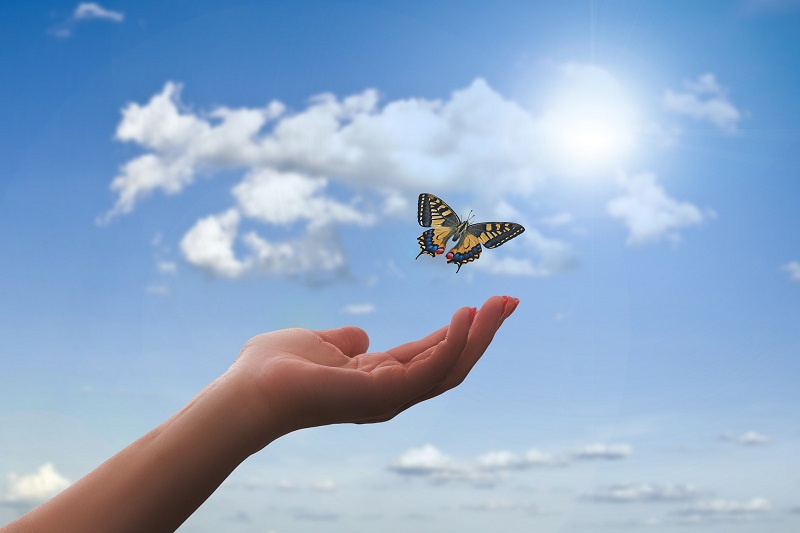 Become a Coach Close Up of a Woman's Hand Help Up Letting a Butterfly Fly from it Toward a Blue Sky