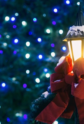 Discover new community traditions at one or all of the San Juan Capistrano holiday events 2019 that are a lot of fun for everyone.