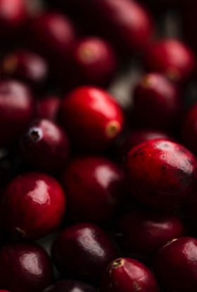 Cranberry Tea Recipes Close Up of Cranberries