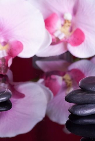 Passive Income Made Easy a Few Pebbles Next to a Pink Orchid